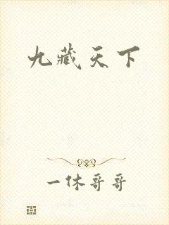 九藏天下