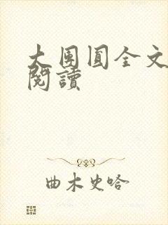 大团圆全文完整阅读封面