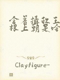 含着摄政王的紫根上朝是啥小说封面