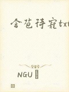 含苞待宠txt封面