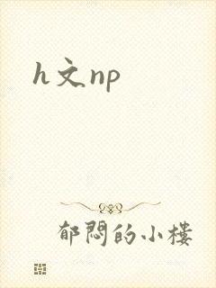 h文np封面