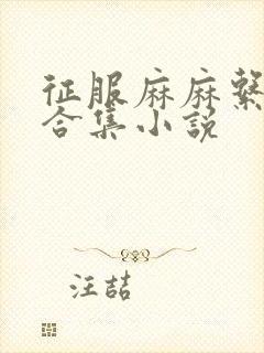 征服麻麻系列大合集小说