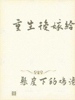 重生后嫁给三叔