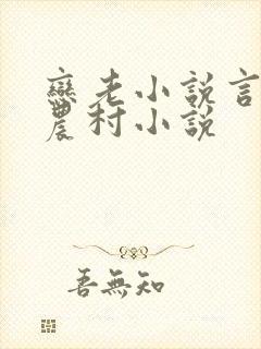 恋老小说言情网农村小说