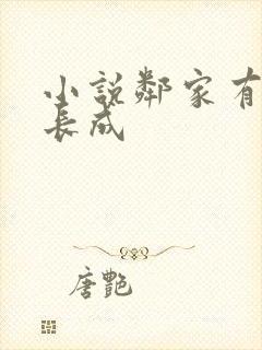 小说邻家有女初长成封面