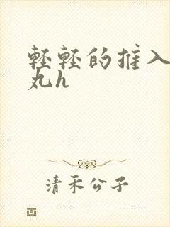 轻轻的推入合欢丸h封面