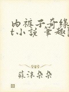 内裤子奇缘txt小说 笔趣阁