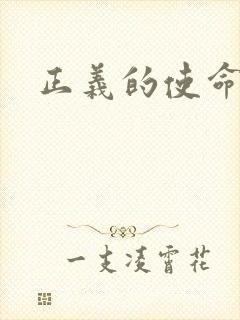 正义的使命小说