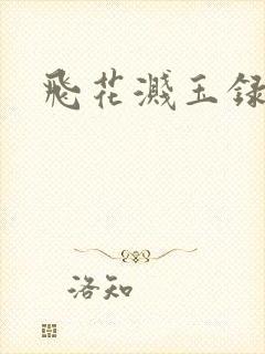 飞花溅玉录封面
