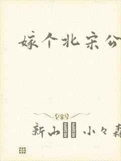 嫁个北宋公务员