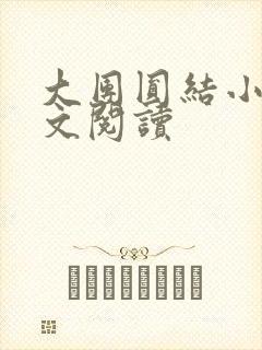 大团圆结小茹全文阅读