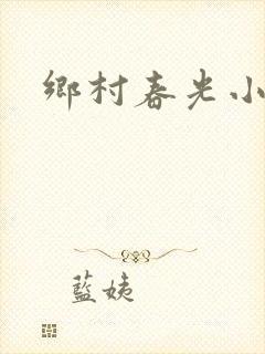 乡村春光小说封面