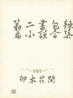 第二书包辣网短篇小说合集