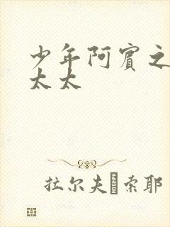 少年阿宾之房东太太