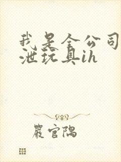 我是全公司的发泄玩具ih封面