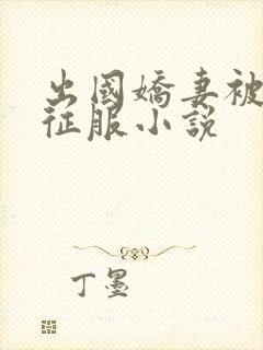 出国娇妻被黑人征服小说封面