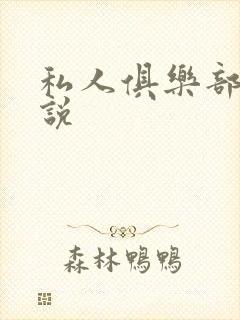 私人俱乐部 小说