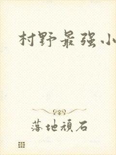 村野最强小农民封面