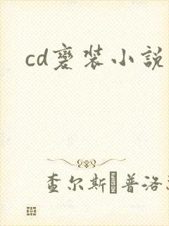cd变装小说