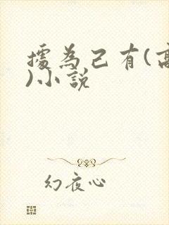 据为己有(高干)小说