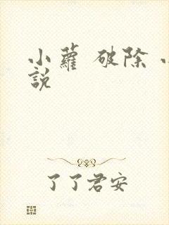 小萝 破除 小说