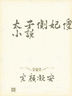 太子侧妃傻乎乎小说