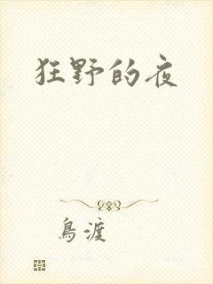 狂野的夜