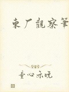 东厂观察笔记封面