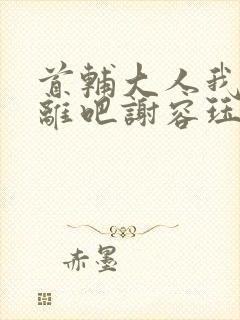 首辅大人我们和离吧谢容珏