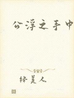公浮之手中字5