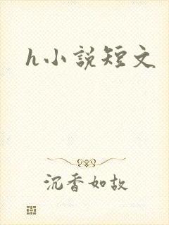 h小说短文封面