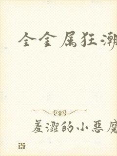 全金属狂潮小说