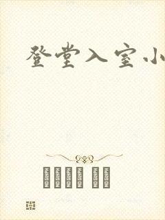 登堂入室小说封面