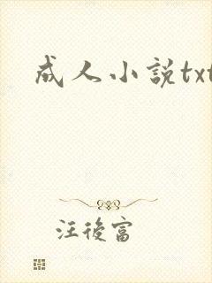 成人小说txt封面