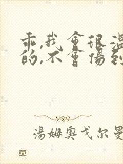 乖,我会很温柔的,不会伤到你小说