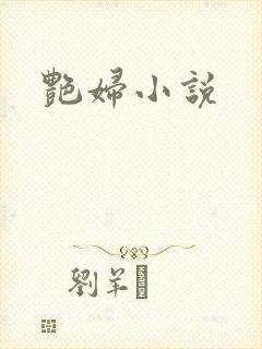 艳妇小说
