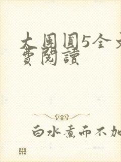 大团圆5全文免费阅读封面