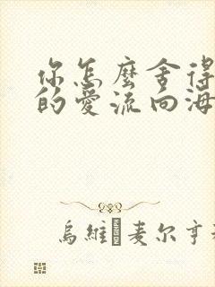 你怎么舍得让我的爱流向海封面