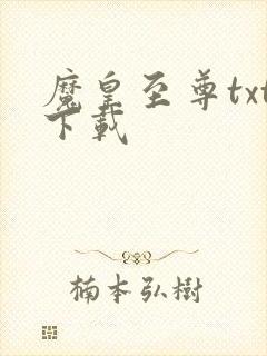 魔皇至尊txt下载