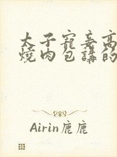 太子宠妾高肉红烧肉包讲的什么