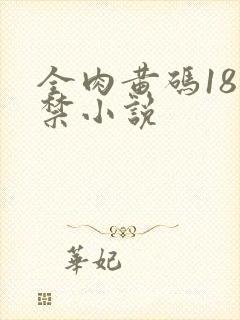 全肉黄码18无禁小说
