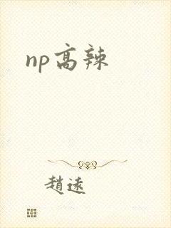 np高辣