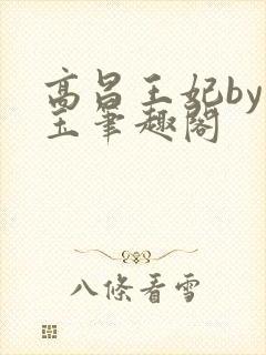 高昌王妃by黛玉笔趣阁