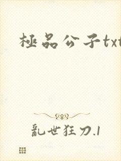 极品公子txt