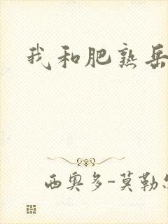 我和肥熟岳销魂封面