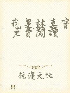 我是林喜宝小说免费阅读