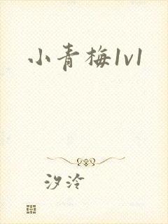 小青梅1v1封面
