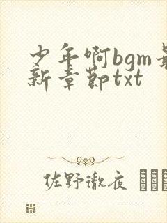 少年啊bgm最新章节txt封面