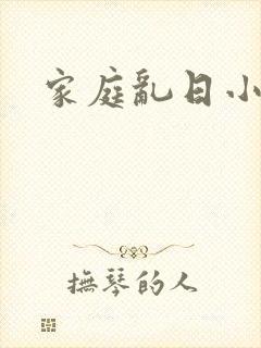 家庭乱日小说