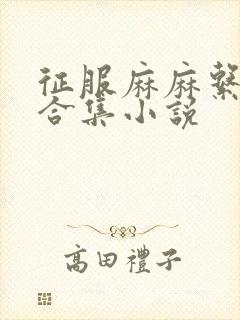 征服麻麻系列大合集小说